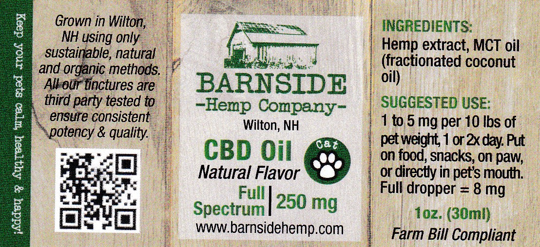 CBD Oil For Your Cat Natural Flavor 250mg